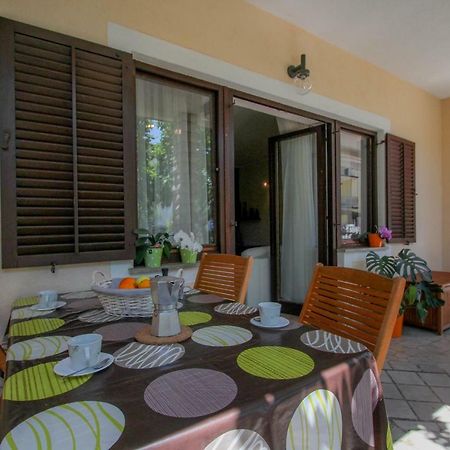 Apartment Sanja Novigrad Istria 外观 照片