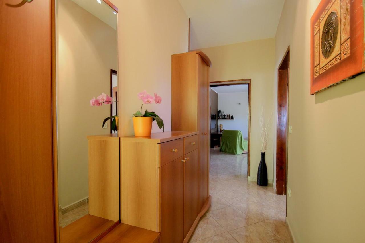 Apartment Sanja Novigrad Istria 外观 照片