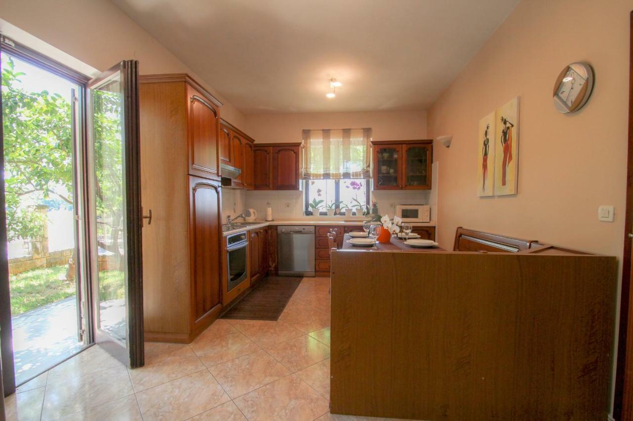 Apartment Sanja Novigrad Istria 外观 照片