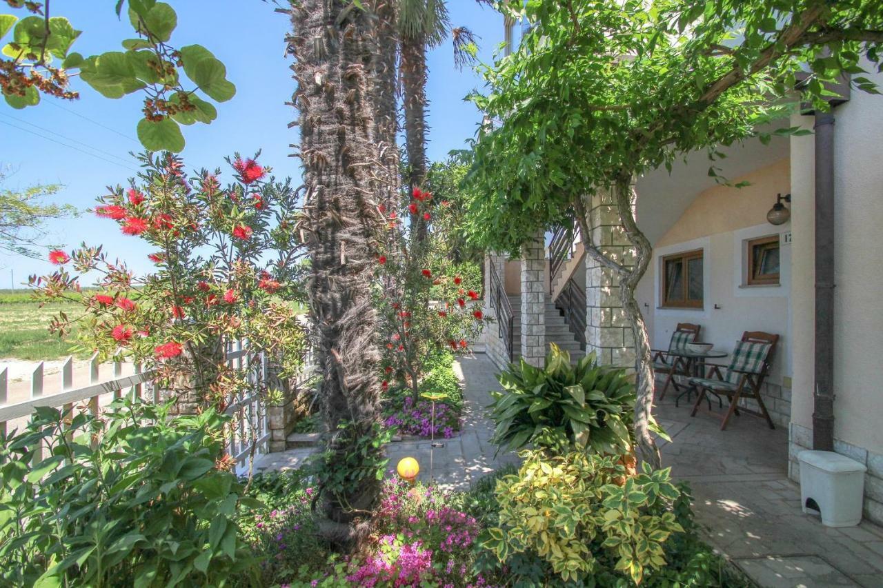 Apartment Sanja Novigrad Istria 外观 照片
